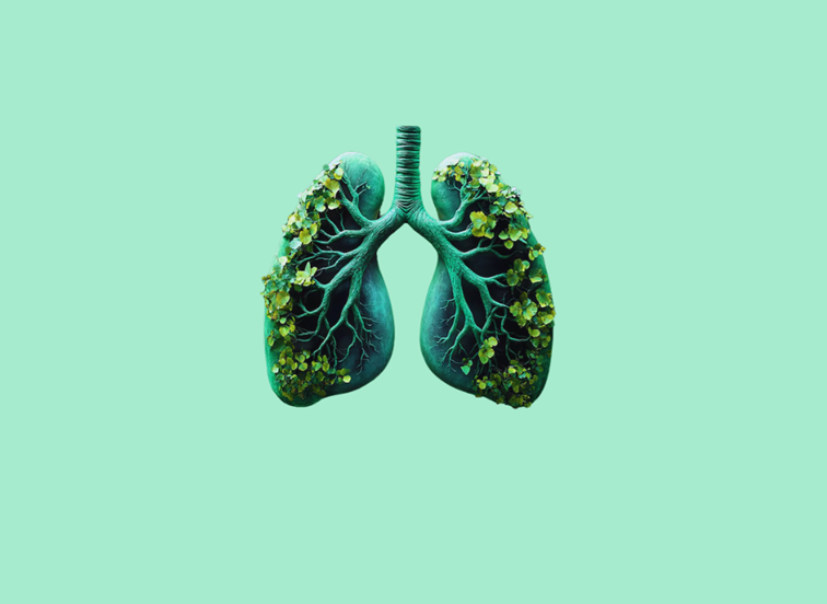 Poziv građanima na preventivne preglede s ciljem ranog otkrivanja KOPB-a i raka pluća